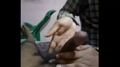 Reproduzir Trio indiano quente - esposa de verdade e enteada handjob cumshot